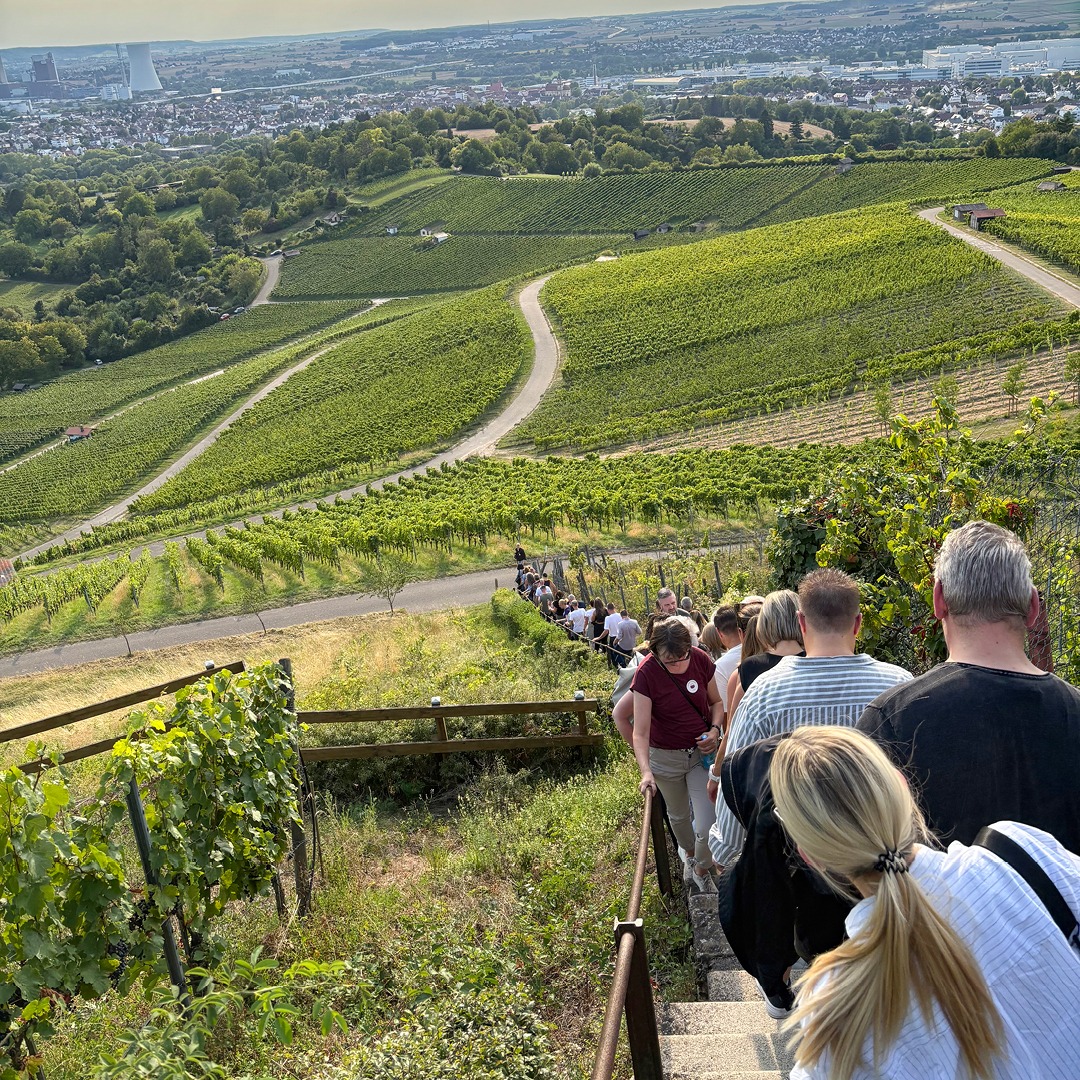 Teamevent in den Weinbergen. Teamevent in den Weinbergen.
